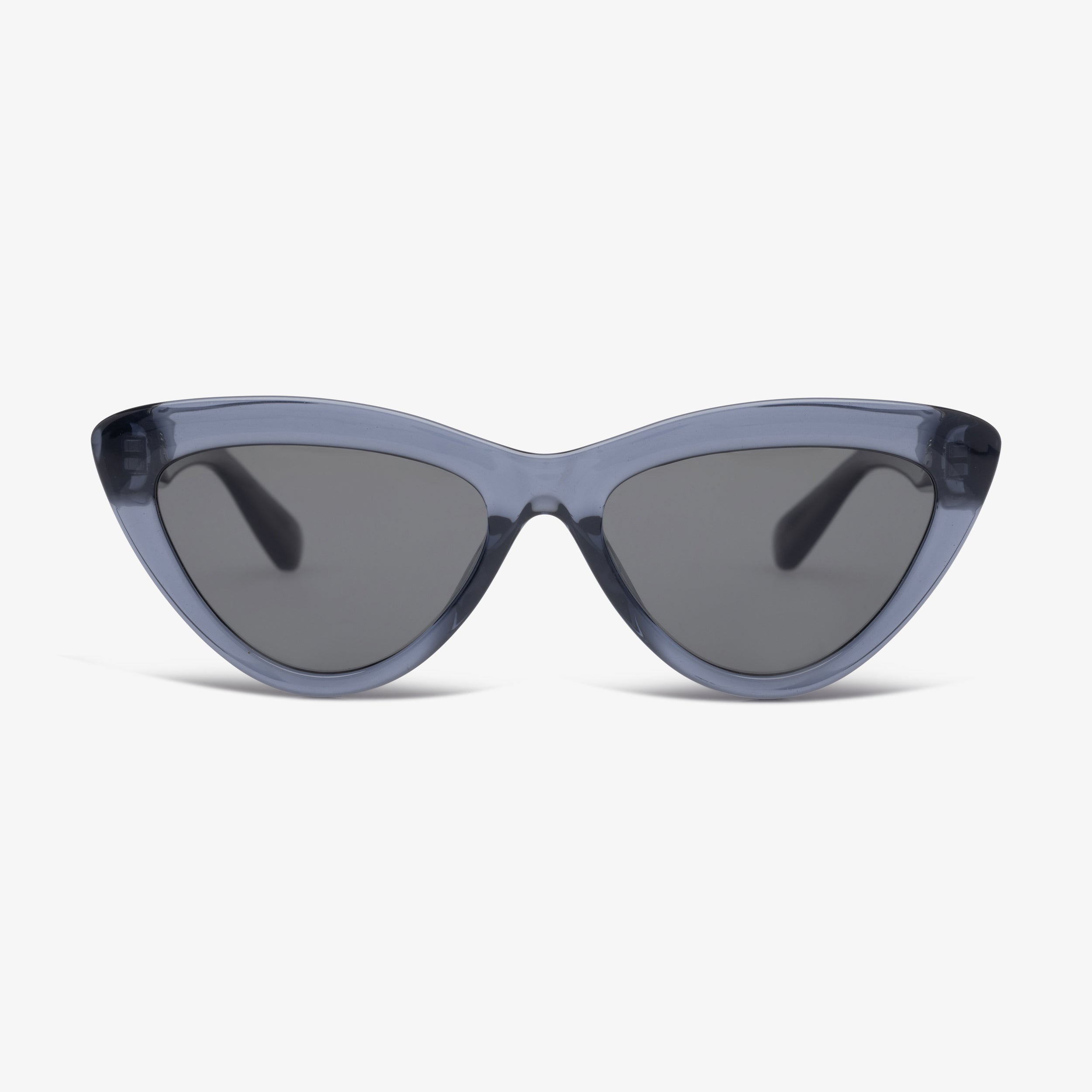 NAVY - POLARIZED LENS