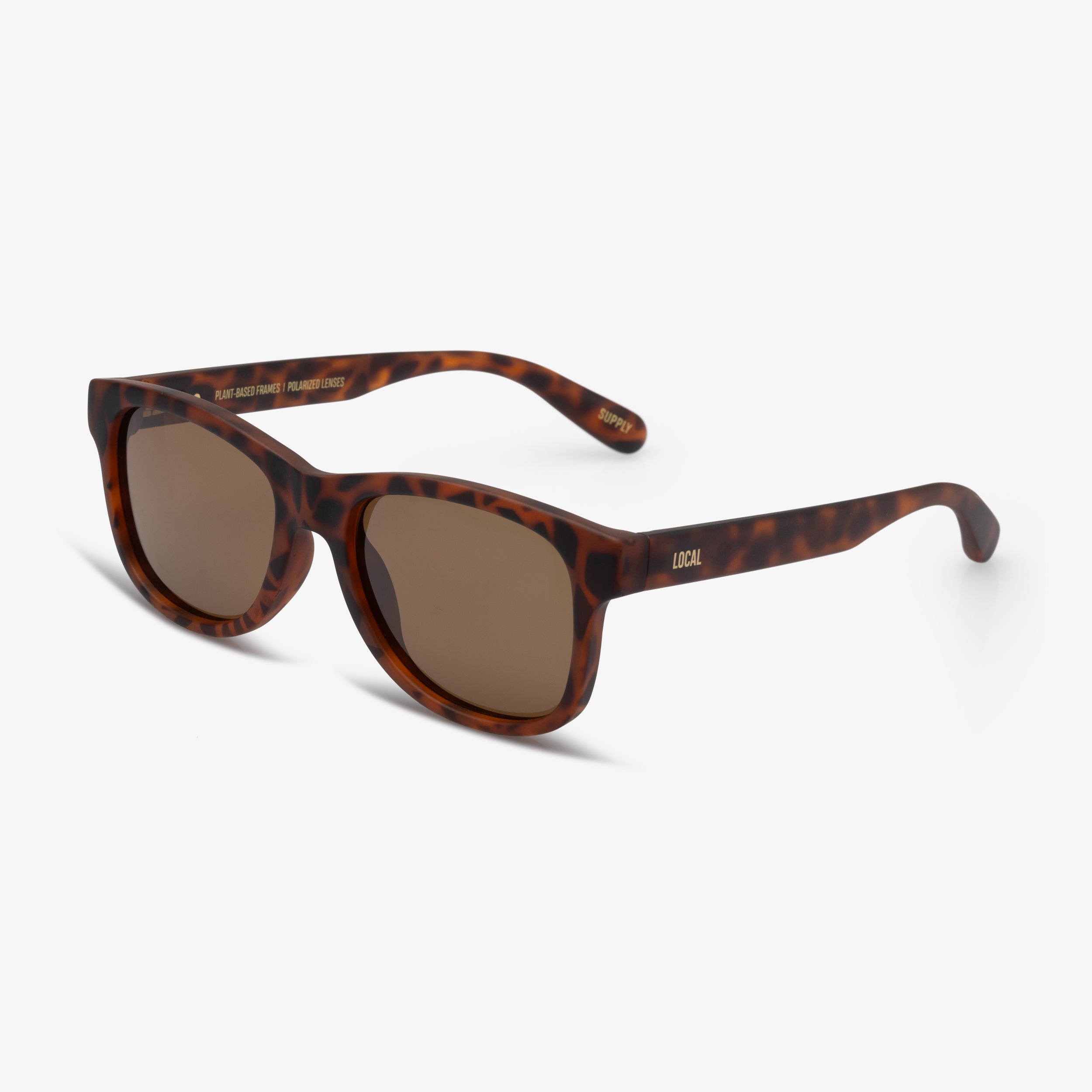 MATTE TORT - POLARIZED LENS